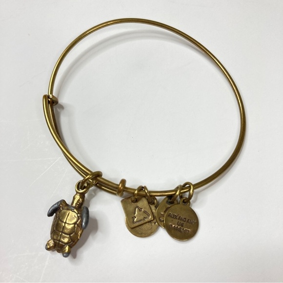 3/$30 Alex and Ani | Gold Charity By Design Turtle Charm Bracelet - Picture 4 of 4